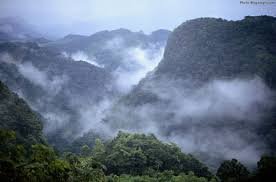 جنگل ابر شاهرود