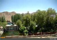 چنارهای کهنسال چشمه‌علی