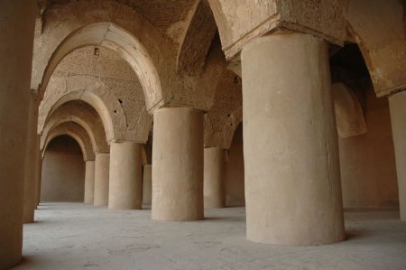 مسجد تاریخانه دامغان