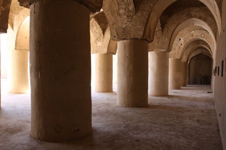 مسجد تاریخانه دامغان