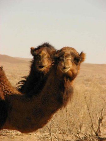 روستای مصر سمنان