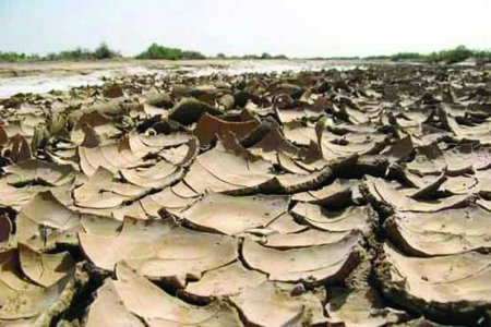 دشت كوير سمنان